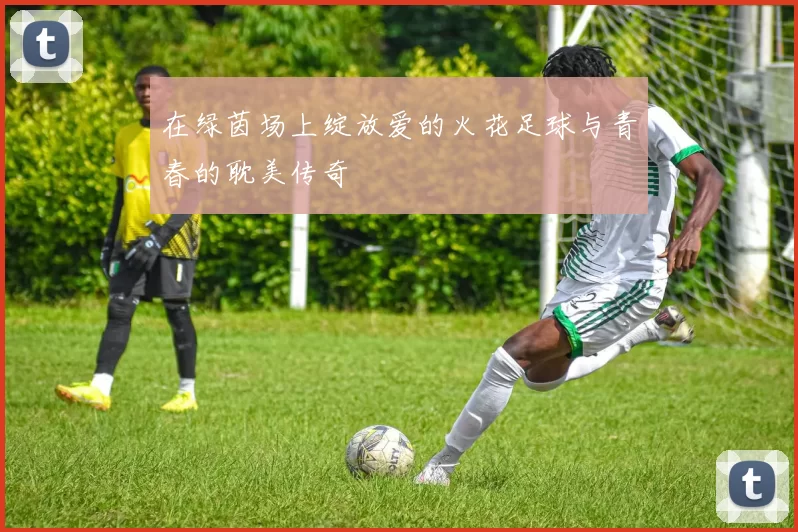 在绿茵场上绽放爱的火花足球与青春的耽美传奇