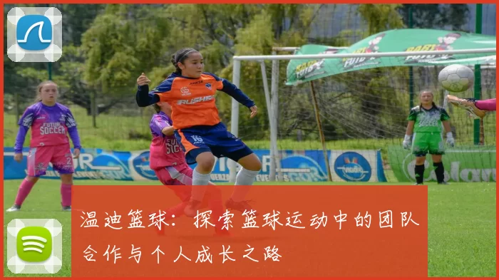 温迪篮球：探索篮球运动中的团队合作与个人成长之路