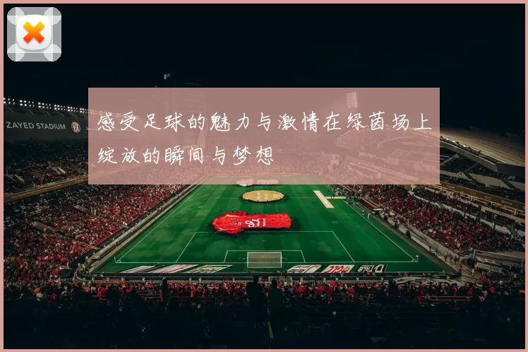 感受足球的魅力与激情在绿茵场上绽放的瞬间与梦想