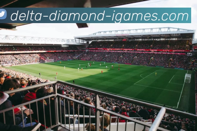 AYXSPORTS平台生态图